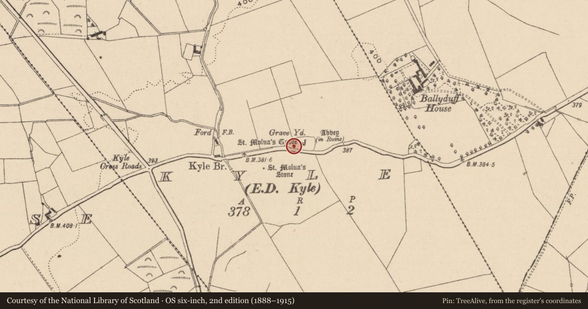 Ordnance Survey six-inch map, 2nd edition (1888–1915) covering the location of Cross-slab, Kyle, County Laois, with a pin at the register's coordinates