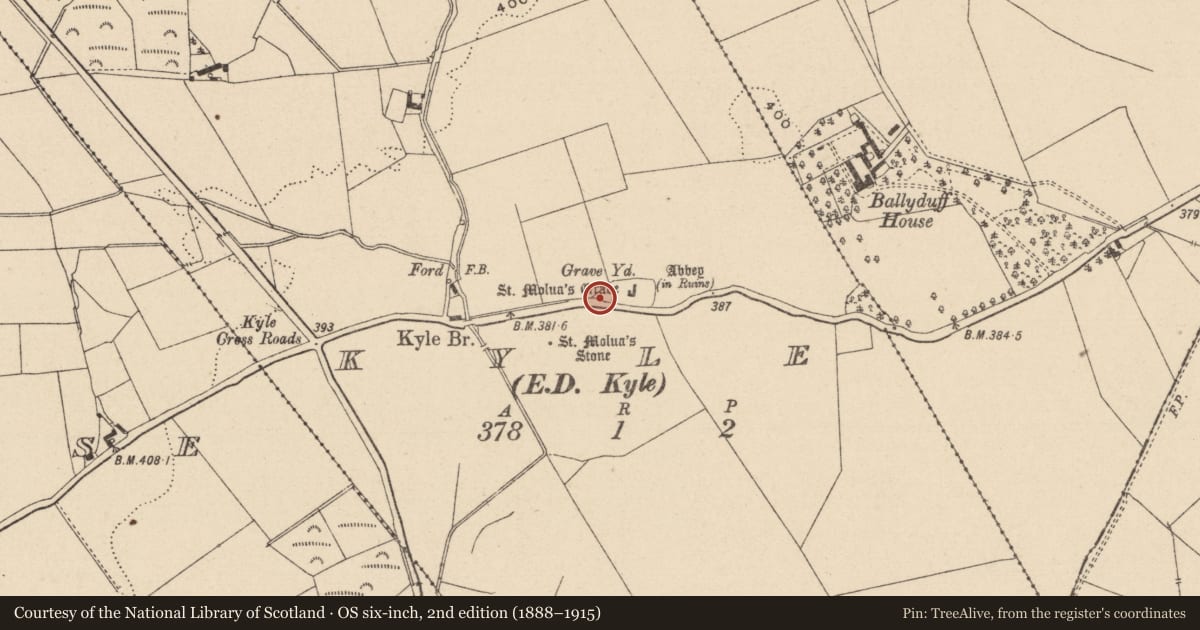 Ordnance Survey six-inch map, 2nd edition (1888–1915) covering the location of Bullaun stone (present location), Kyle, County Laois, with a pin at the register's coordinates