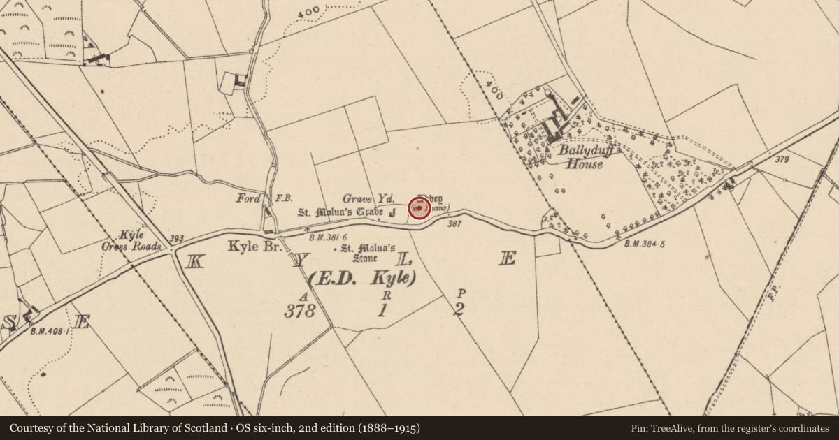 Ordnance Survey six-inch map, 2nd edition (1888–1915) covering the location of Ecclesiastical enclosure, Kyle, County Laois, with a pin at the register's coordinates