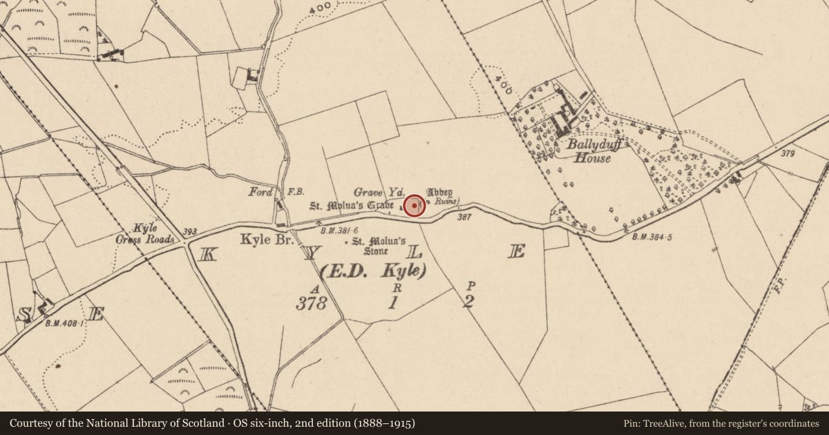 Ordnance Survey six-inch map, 2nd edition (1888–1915) covering the location of Sarcophagus, Kyle, County Laois, with a pin at the register's coordinates