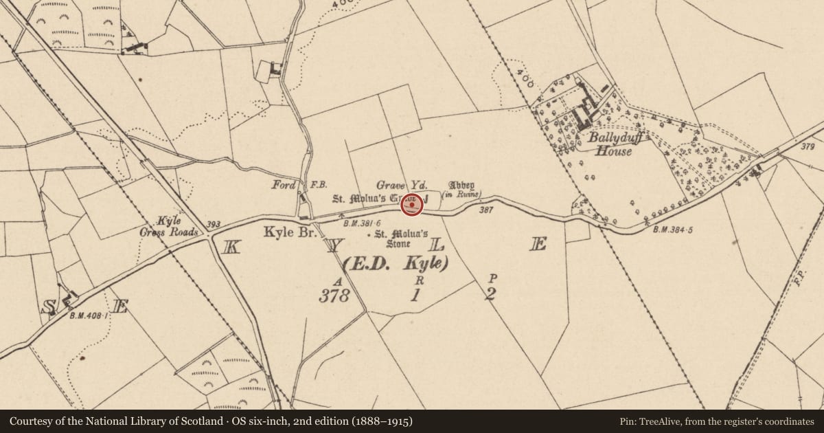 Ordnance Survey six-inch map, 2nd edition (1888–1915) covering the location of Cross-slab, Kyle, County Laois, with a pin at the register's coordinates