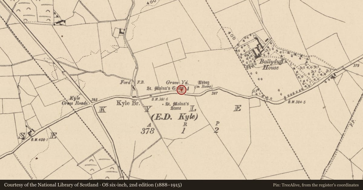 Ordnance Survey six-inch map, 2nd edition (1888–1915) covering the location of Cross-slab, Kyle, County Laois, with a pin at the register's coordinates
