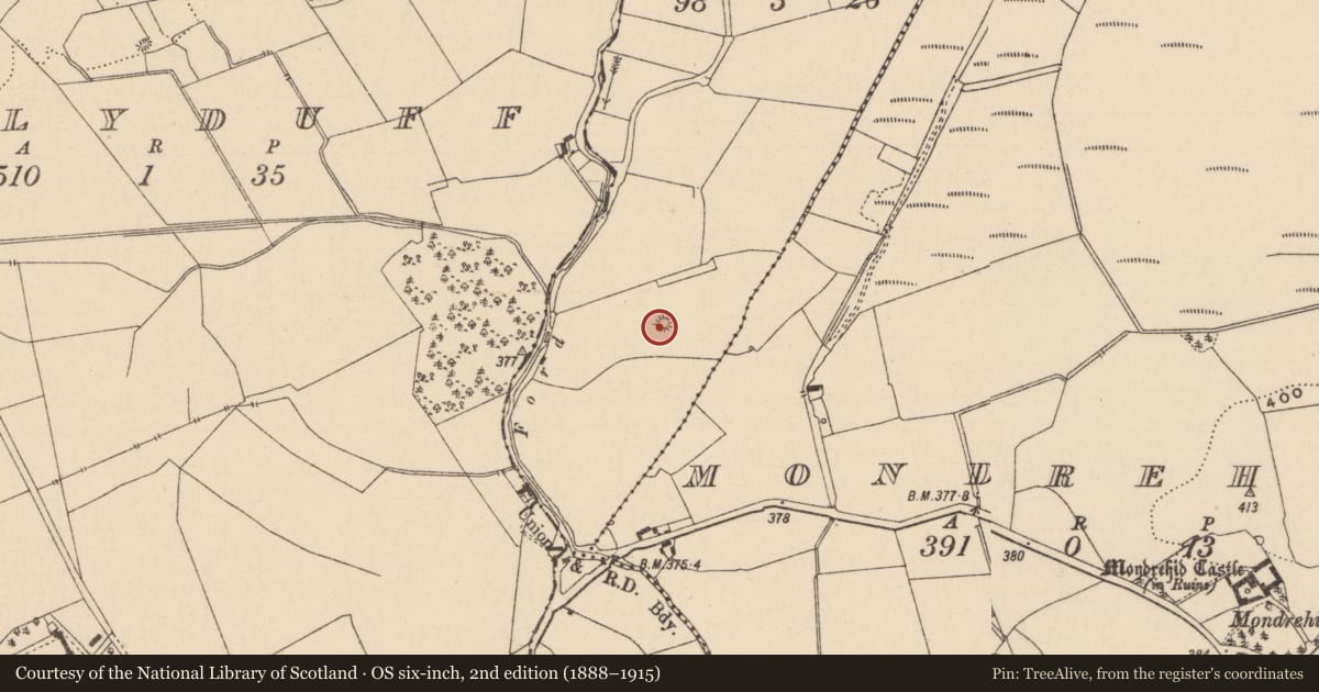 Ordnance Survey six-inch map, 2nd edition (1888–1915) covering the location of Mound, Toortaun, County Laois, with a pin at the register's coordinates