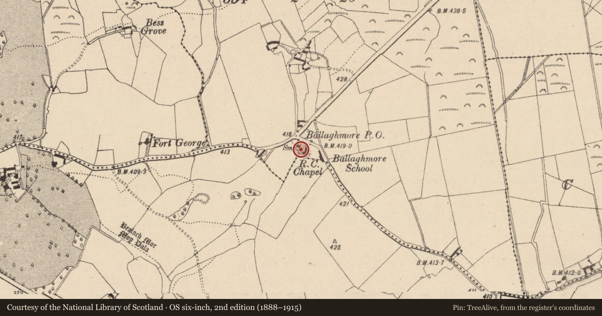 Ordnance Survey six-inch map, 2nd edition (1888–1915) covering the location of Sarcophagus (present location), Ballinla, County Laois, with a pin at the register's coordinates
