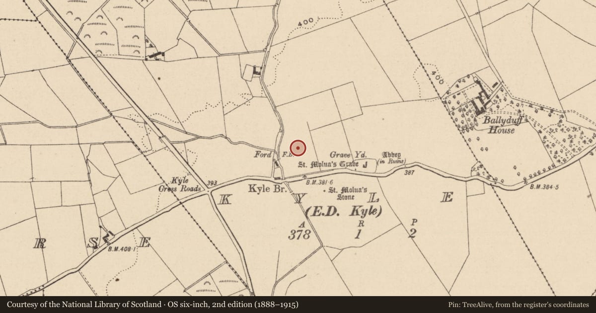 Ordnance Survey six-inch map, 2nd edition (1888–1915) covering the location of Standing stone, Kyle, County Laois, with a pin at the register's coordinates