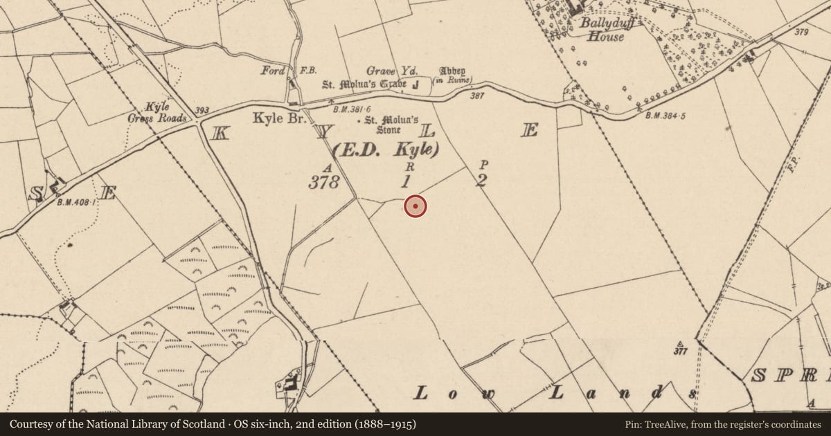Ordnance Survey six-inch map, 2nd edition (1888–1915) covering the location of Road - road/trackway, Kyle, County Laois, with a pin at the register's coordinates