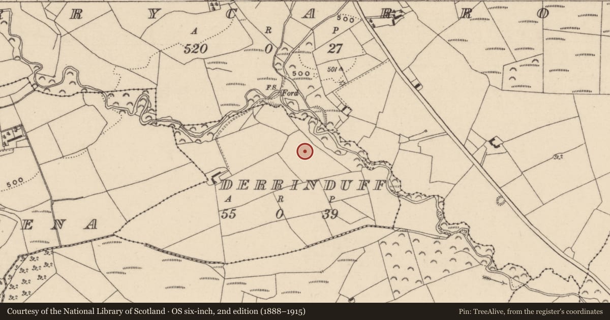 Ordnance Survey six-inch map, 2nd edition (1888–1915) covering the location of Enclosure, Derrinduff, County Laois, with a pin at the register's coordinates
