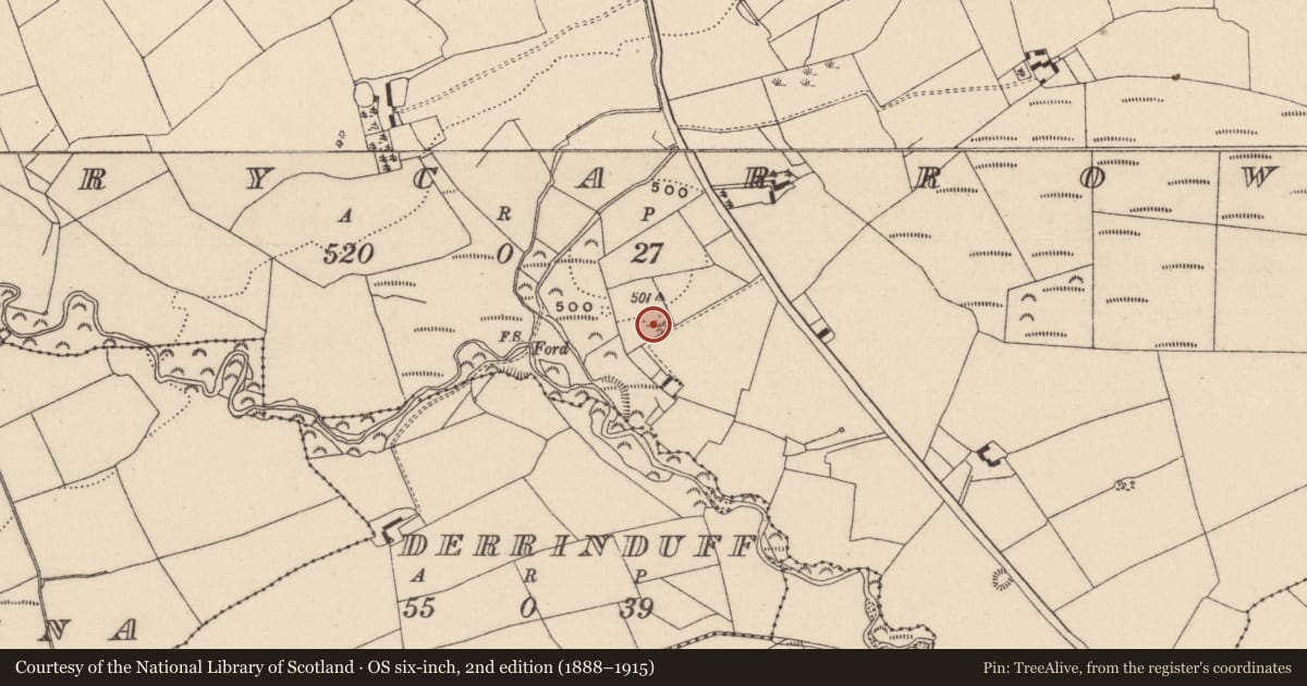 Ordnance Survey six-inch map, 2nd edition (1888–1915) covering the location of Barrow - ring-barrow, Derrycarrow, County Laois, with a pin at the register's coordinates