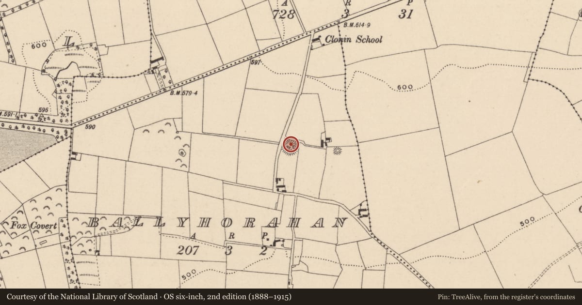 Ordnance Survey six-inch map, 2nd edition (1888–1915) covering the location of Ringfort - rath, Ballyhorahan, County Laois, with a pin at the register's coordinates