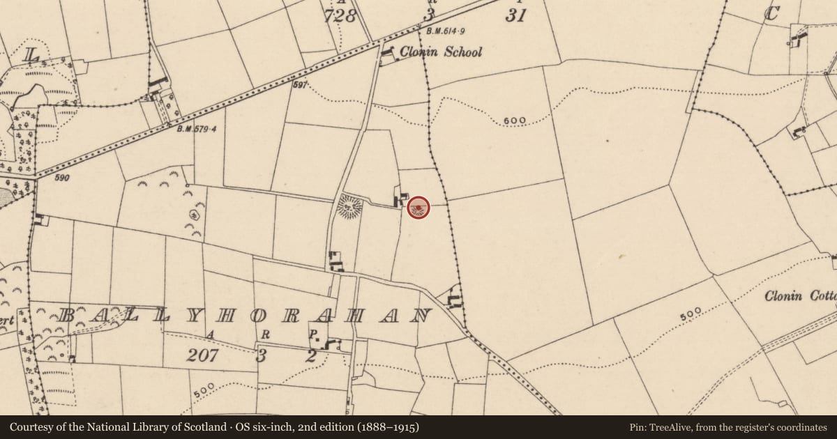 Ordnance Survey six-inch map, 2nd edition (1888–1915) covering the location of Barrow - ring-barrow, Ballyhorahan, County Laois, with a pin at the register's coordinates