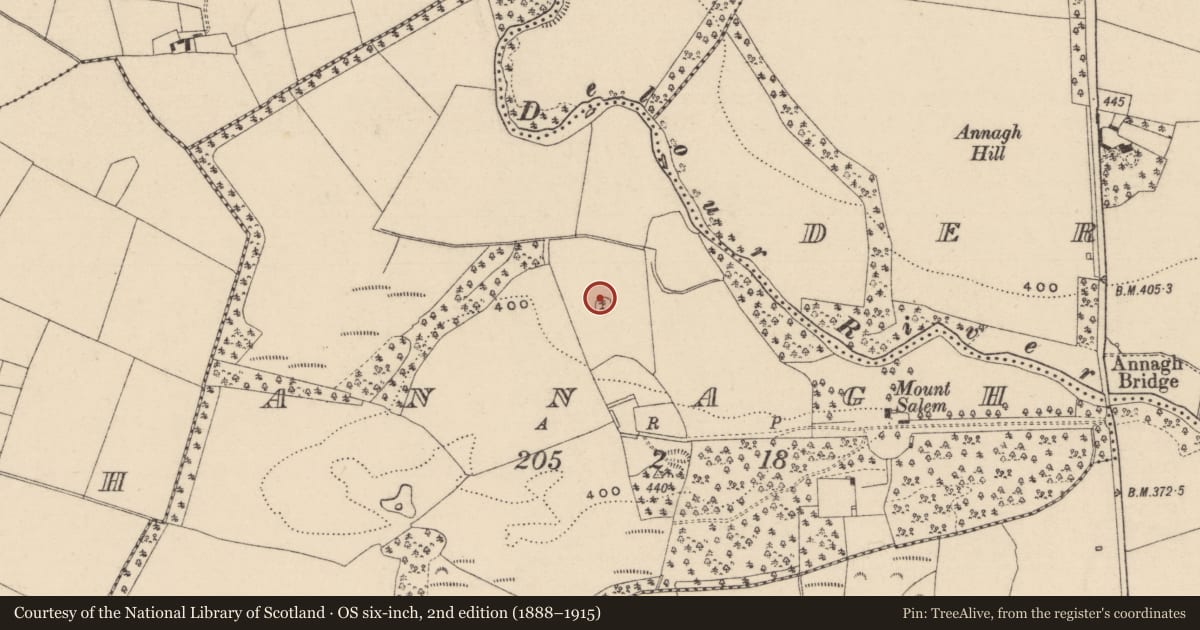 Ordnance Survey six-inch map, 2nd edition (1888–1915) covering the location of Enclosure, Annagh, County Laois, with a pin at the register's coordinates