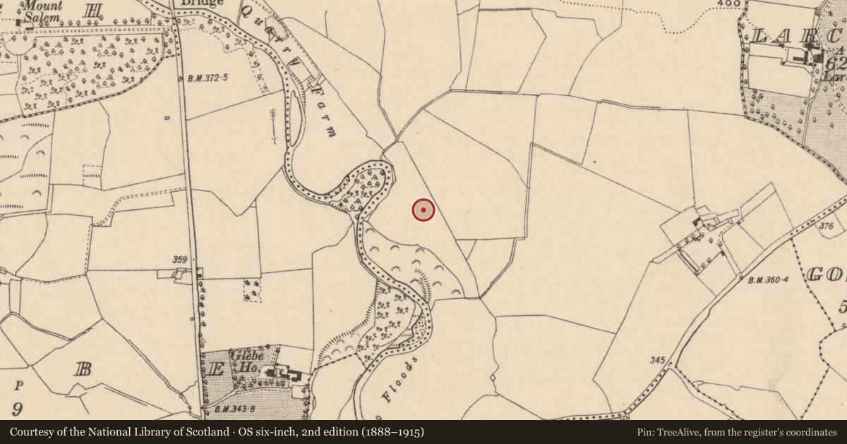 Ordnance Survey six-inch map, 2nd edition (1888–1915) covering the location of Enclosure, Derrynaseera, County Laois, with a pin at the register's coordinates