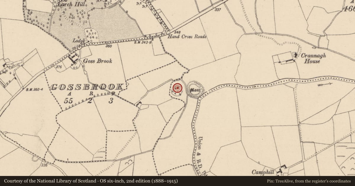 Ordnance Survey six-inch map, 2nd edition (1888–1915) covering the location of Ringfort - rath, Crannagh, County Laois, with a pin at the register's coordinates