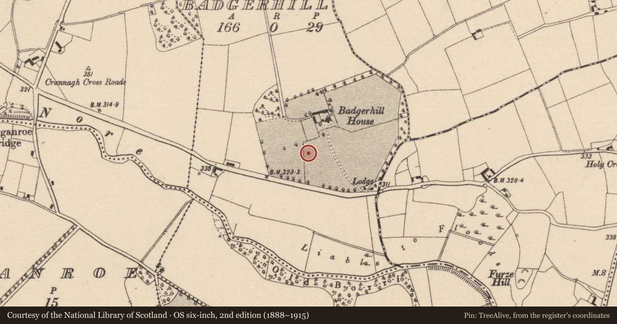Ordnance Survey six-inch map, 2nd edition (1888–1915) covering the location of Rabbit warren, Badgerhill, County Laois, with a pin at the register's coordinates