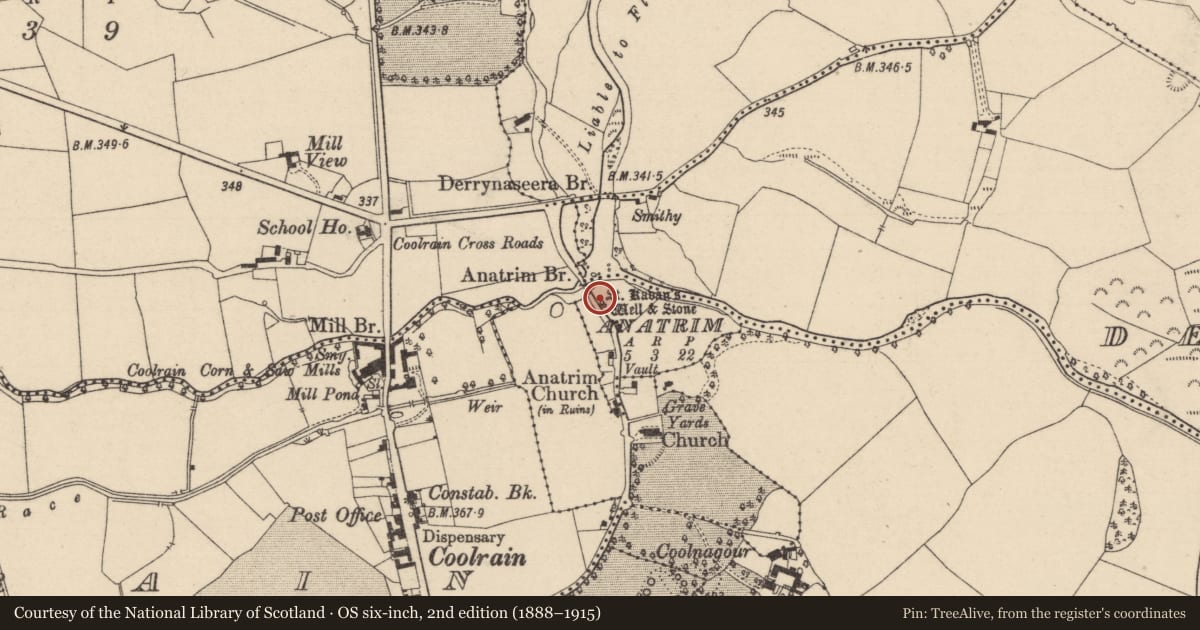Ordnance Survey six-inch map, 2nd edition (1888–1915) covering the location of Ritual site - holy/saint's stone, Anatrim, County Laois, with a pin at the register's coordinates