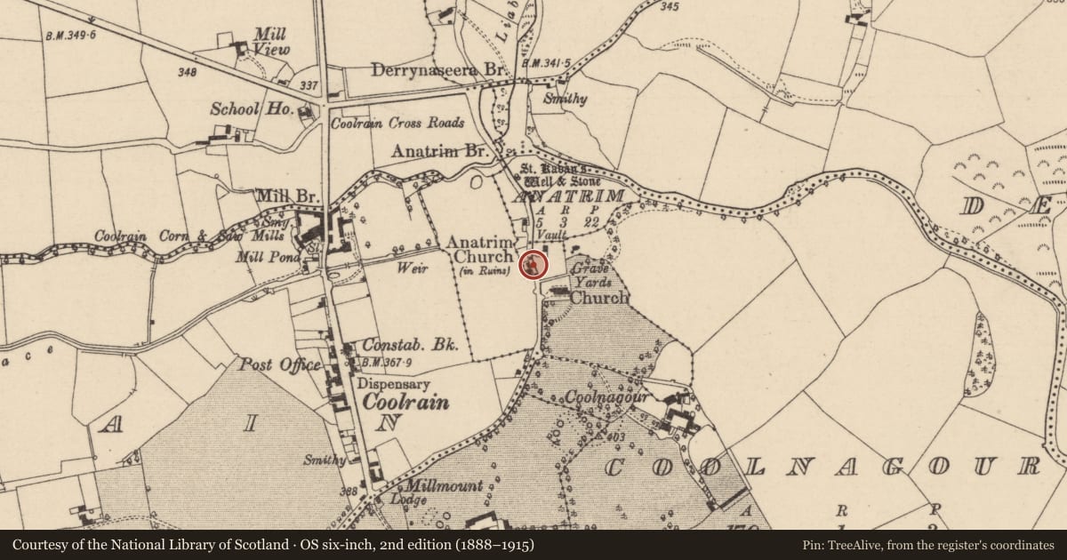 Ordnance Survey six-inch map, 2nd edition (1888–1915) covering the location of Settlement cluster, Anatrim, County Laois, with a pin at the register's coordinates