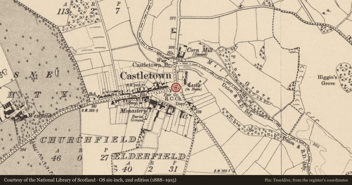 Ordnance Survey six-inch map, 2nd edition (1888–1915) covering the location of Settlement deserted - medieval, County Laois, with a pin at the register's coordinates