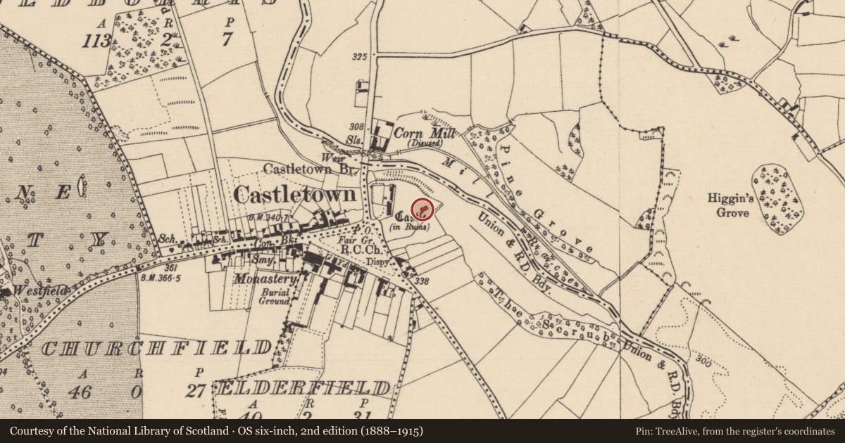 Ordnance Survey six-inch map, 2nd edition (1888–1915) covering the location of Castle - unclassified, Gash, County Laois, with a pin at the register's coordinates