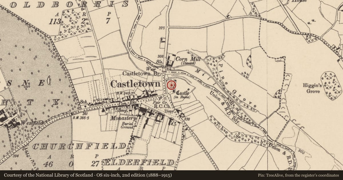 Ordnance Survey six-inch map, 2nd edition (1888–1915) covering the location of Castle - Anglo-Norman masonry castle, Gash, County Laois, with a pin at the register's coordinates
