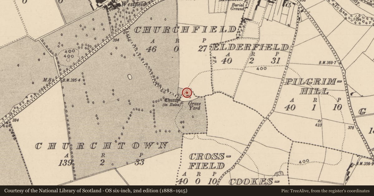 Ordnance Survey six-inch map, 2nd edition (1888–1915) covering the location of Graveyard, Churchfield, Churchtown, County Laois, with a pin at the register's coordinates