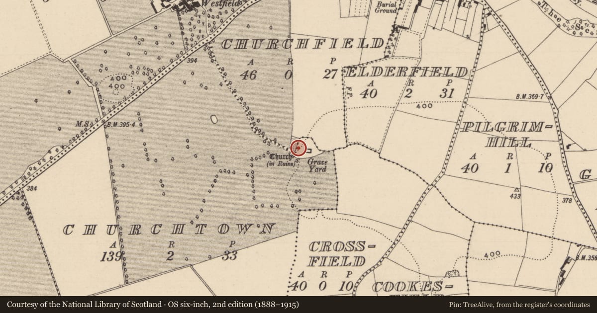 Ordnance Survey six-inch map, 2nd edition (1888–1915) covering the location of Font, Churchtown, County Laois, with a pin at the register's coordinates