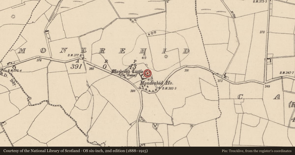 Ordnance Survey six-inch map, 2nd edition (1888–1915) covering the location of Castle - tower house, Mondrehid, County Laois, with a pin at the register's coordinates