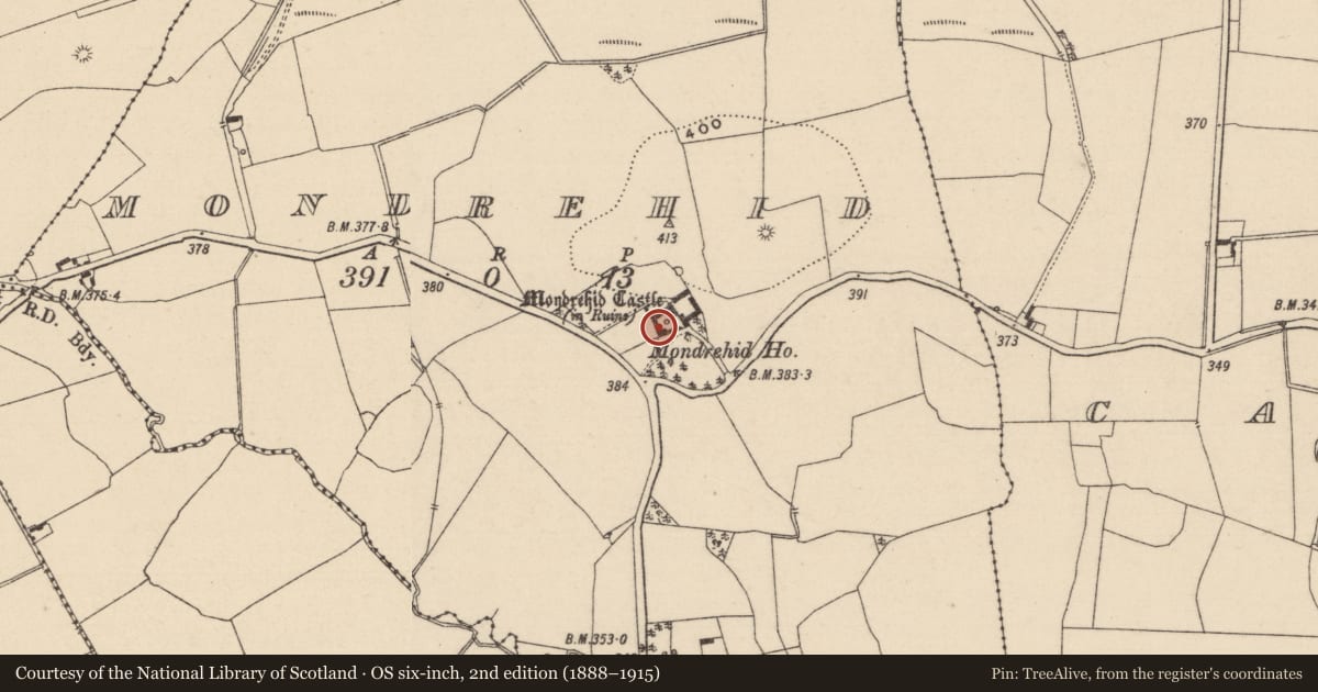 Ordnance Survey six-inch map, 2nd edition (1888–1915) covering the location of Inscribed stone (present location), Mondrehid, County Laois, with a pin at the register's coordinates