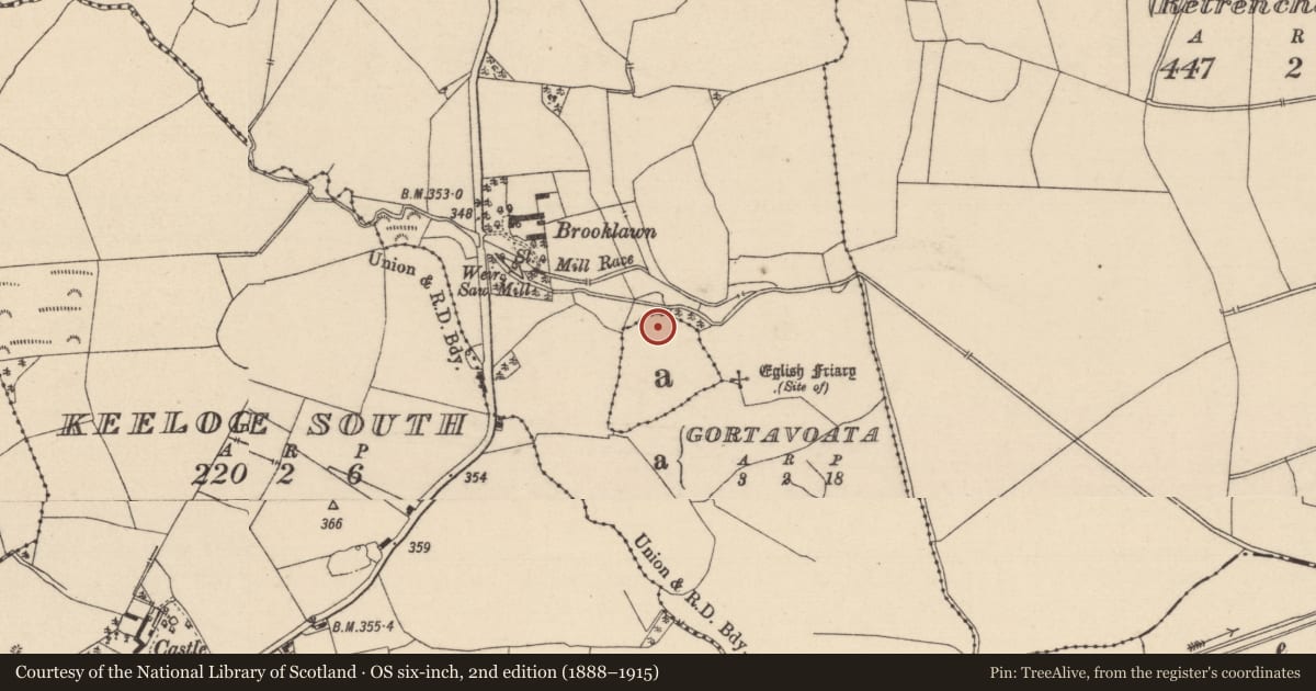 Ordnance Survey six-inch map, 2nd edition (1888–1915) covering the location of Enclosure, Gortavota, County Laois, with a pin at the register's coordinates
