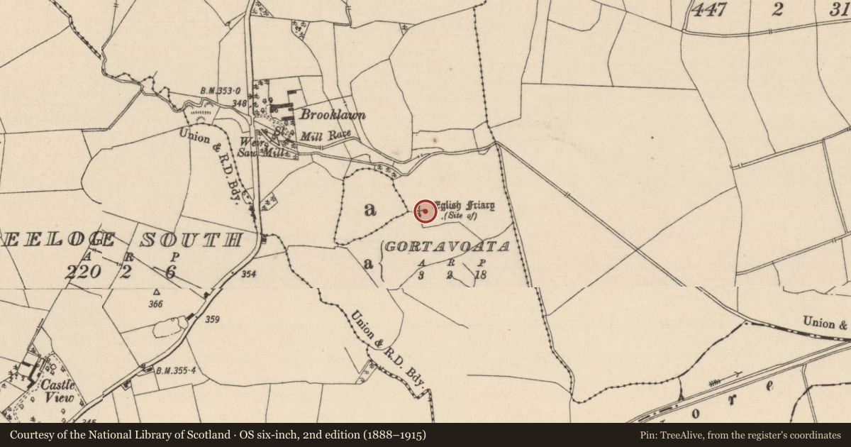 Ordnance Survey six-inch map, 2nd edition (1888–1915) covering the location of Graveyard, Mondrehid, County Laois, with a pin at the register's coordinates