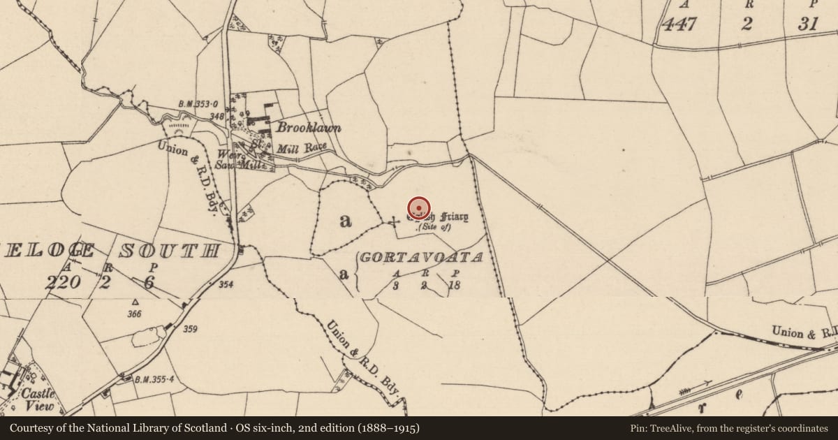 Ordnance Survey six-inch map, 2nd edition (1888–1915) covering the location of Field system, Mondrehid, County Laois, with a pin at the register's coordinates