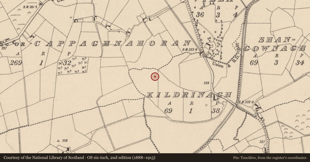 Ordnance Survey six-inch map, 2nd edition (1888–1915) covering the location of Church, Kildrinagh, County Laois, with a pin at the register's coordinates