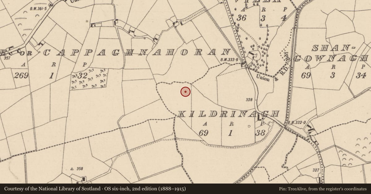 Ordnance Survey six-inch map, 2nd edition (1888–1915) covering the location of Burial, Kildrinagh, County Laois, with a pin at the register's coordinates
