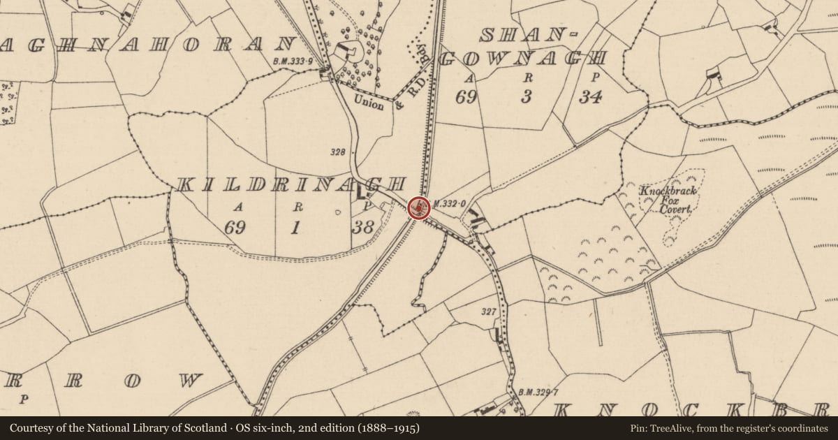 Ordnance Survey six-inch map, 2nd edition (1888–1915) covering the location of Bridge, County Laois, with a pin at the register's coordinates
