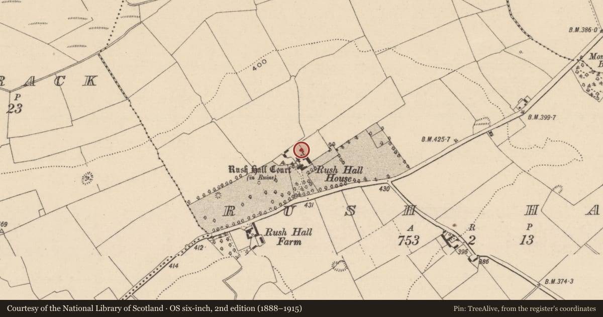 Ordnance Survey six-inch map, 2nd edition (1888–1915) covering the location of Castle - tower house, Rush Hall, County Laois, with a pin at the register's coordinates
