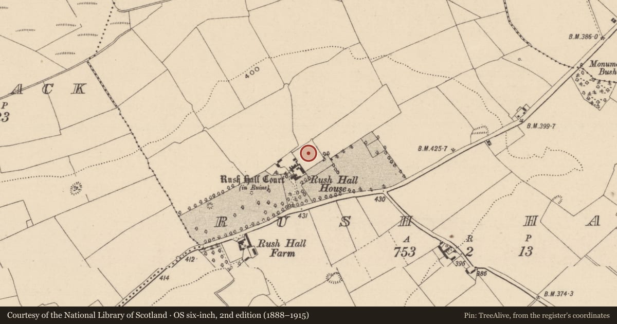Ordnance Survey six-inch map, 2nd edition (1888–1915) covering the location of Bawn, Rush Hall, County Laois, with a pin at the register's coordinates