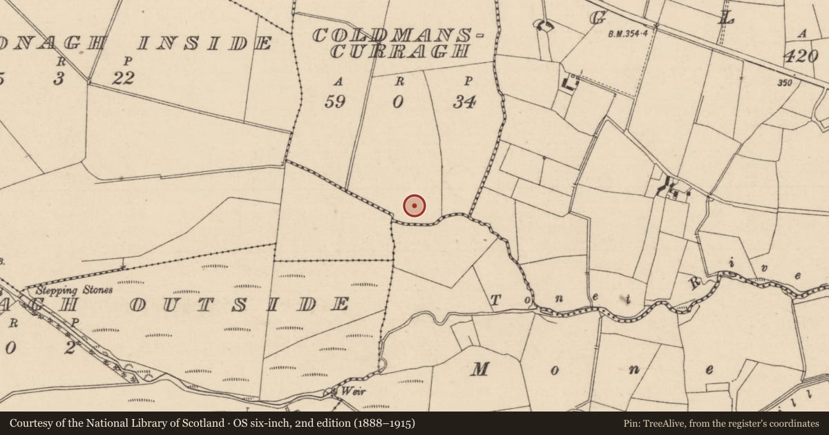 Ordnance Survey six-inch map, 2nd edition (1888–1915) covering the location of Enclosure, Coldmanscurragh, County Laois, with a pin at the register's coordinates