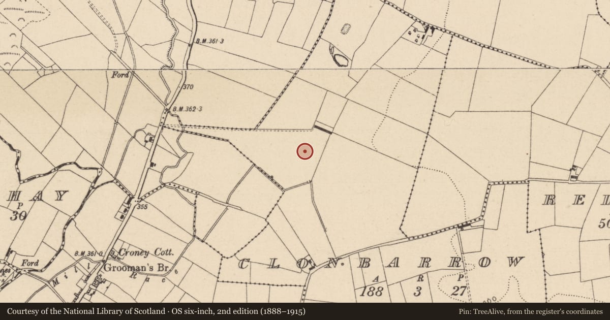 Ordnance Survey six-inch map, 2nd edition (1888–1915) covering the location of Moated site, Clonbarrow, County Laois, with a pin at the register's coordinates