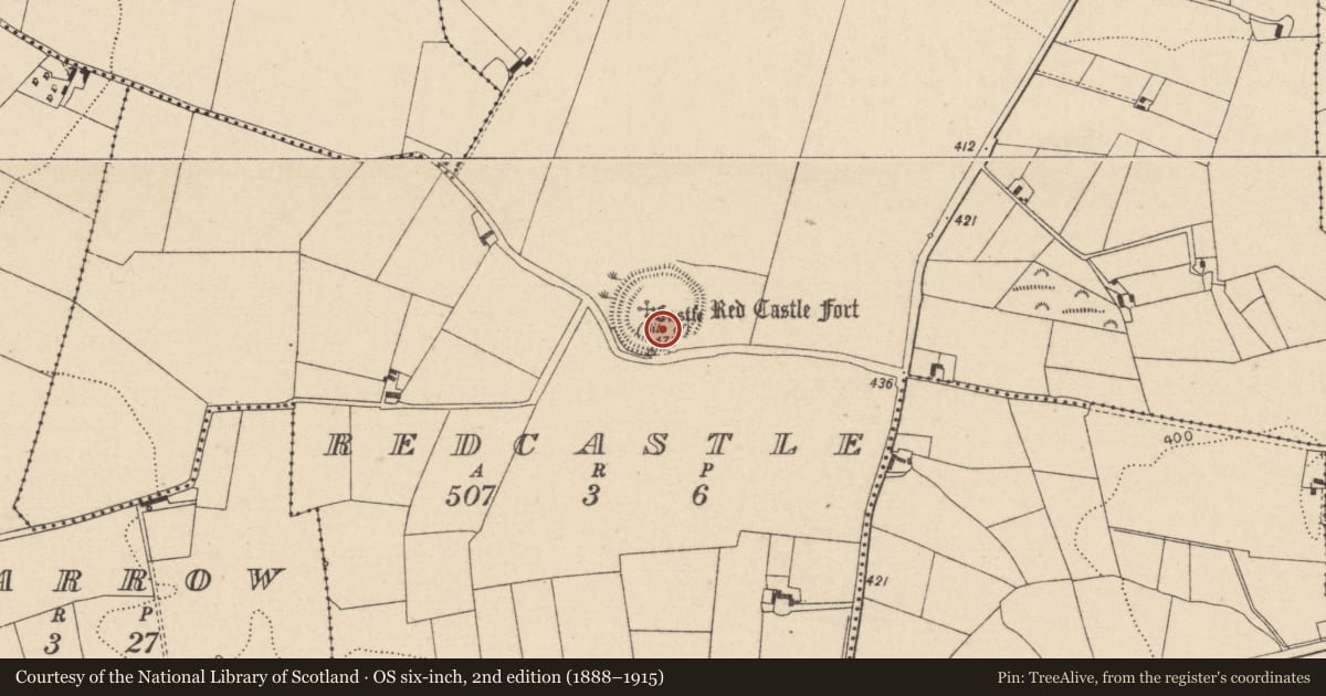 Ordnance Survey six-inch map, 2nd edition (1888–1915) covering the location of Castle - unclassified, Redcastle, County Laois, with a pin at the register's coordinates