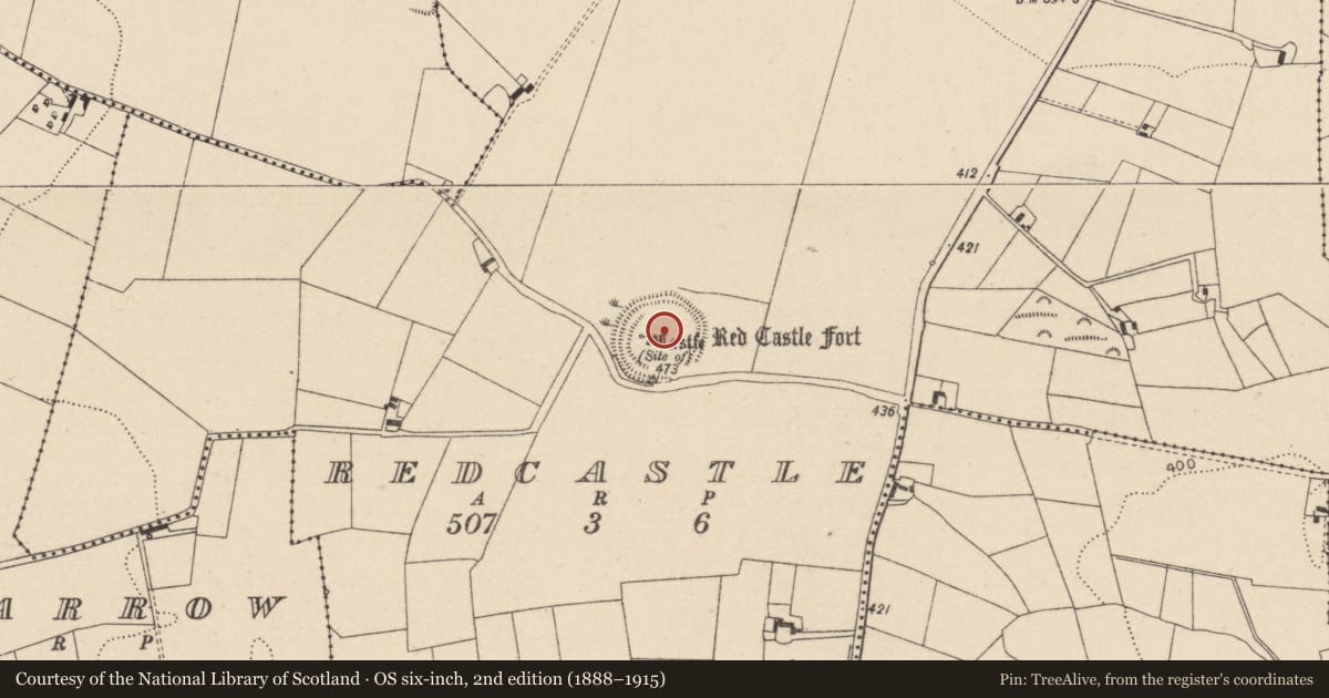 Ordnance Survey six-inch map, 2nd edition (1888–1915) covering the location of Ringfort - rath, Redcastle, County Laois, with a pin at the register's coordinates