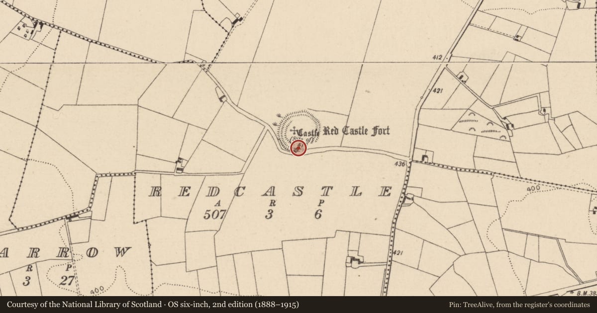 Ordnance Survey six-inch map, 2nd edition (1888–1915) covering the location of Well, Redcastle, County Laois, with a pin at the register's coordinates