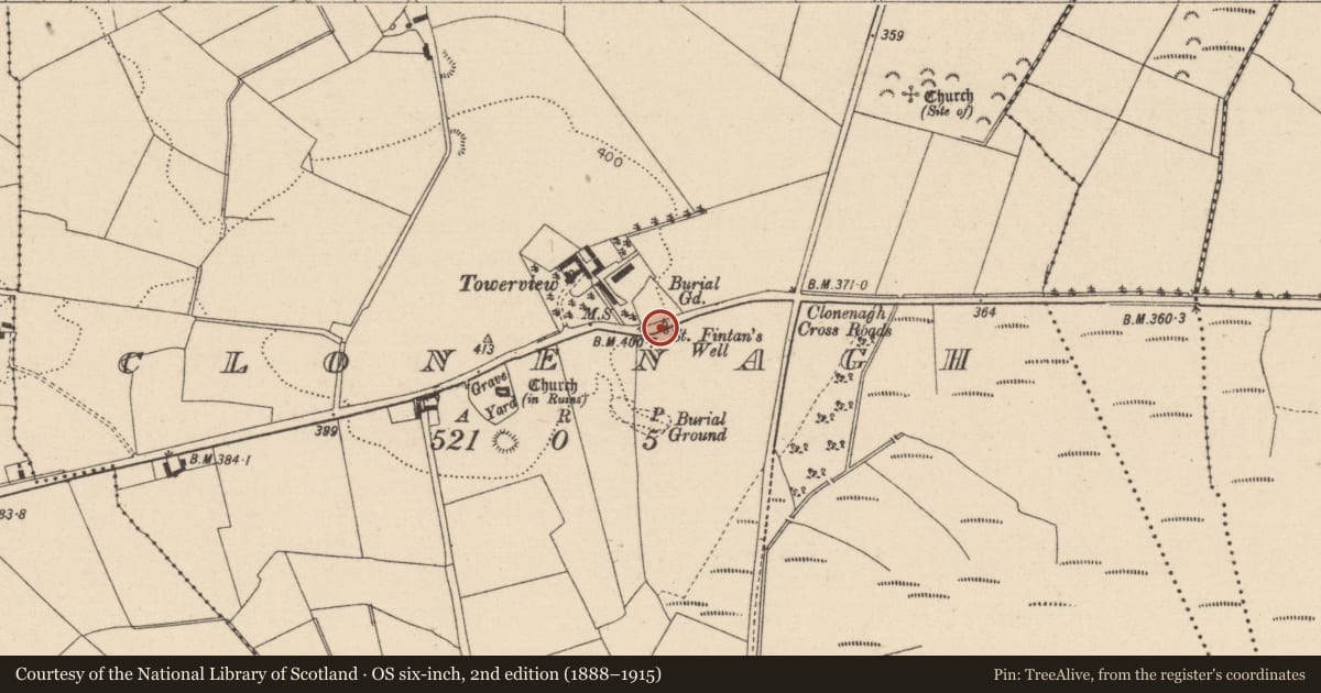 Ordnance Survey six-inch map, 2nd edition (1888–1915) covering the location of Ritual site - holy tree/bush, Clonenagh, County Laois, with a pin at the register's coordinates