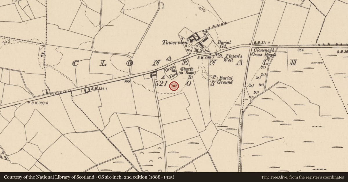 Ordnance Survey six-inch map, 2nd edition (1888–1915) covering the location of Castle - motte, Clonenagh, County Laois, with a pin at the register's coordinates