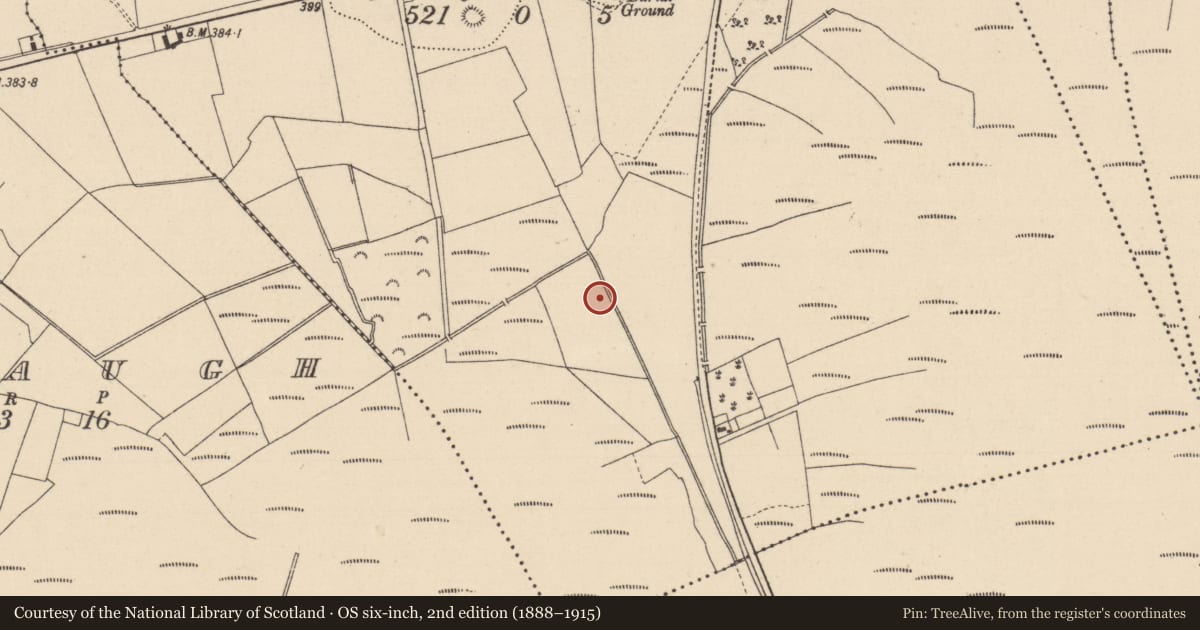 Ordnance Survey six-inch map, 2nd edition (1888–1915) covering the location of Road - road/trackway, Clonenagh, County Laois, with a pin at the register's coordinates