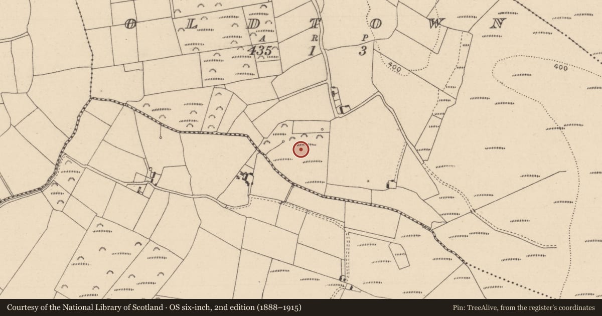 Ordnance Survey six-inch map, 2nd edition (1888–1915) covering the location of Enclosure, Oldtown, County Laois, with a pin at the register's coordinates