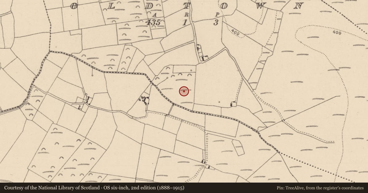 Ordnance Survey six-inch map, 2nd edition (1888–1915) covering the location of Field system, Oldtown, County Laois, with a pin at the register's coordinates