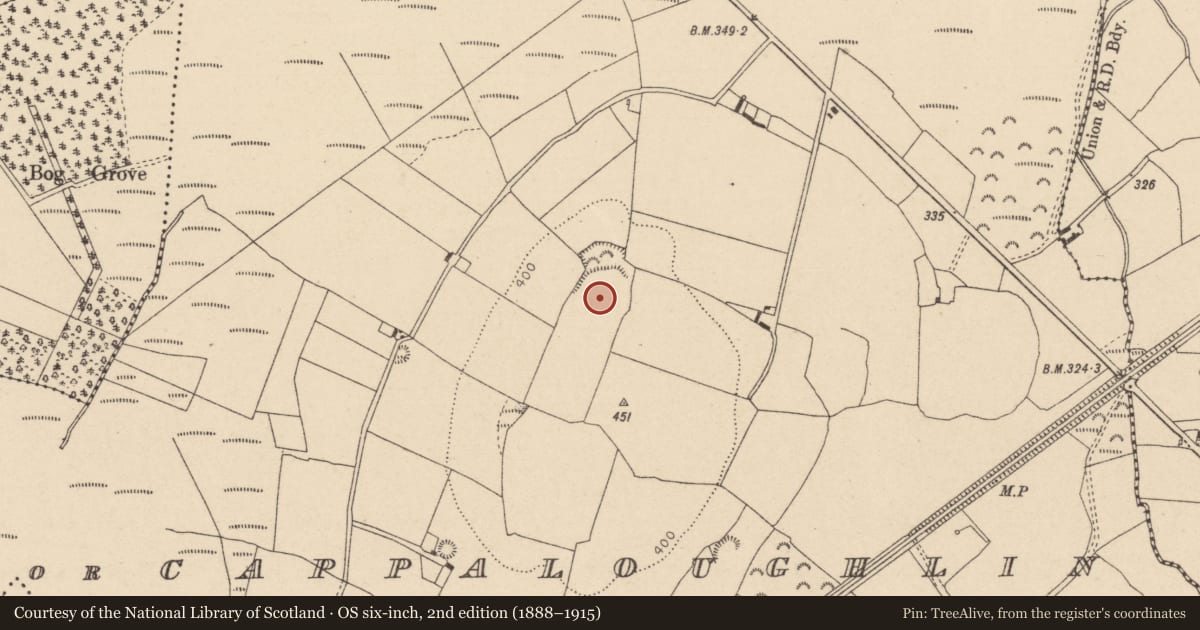 Ordnance Survey six-inch map, 2nd edition (1888–1915) covering the location of Enclosure, Clonard Or Cappaloughlin, County Laois, with a pin at the register's coordinates