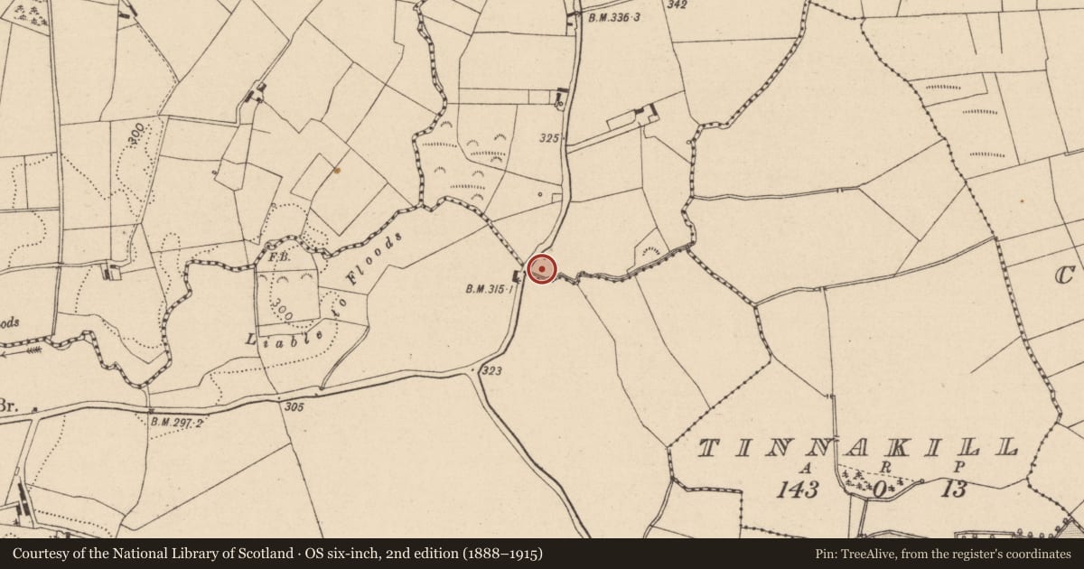 Ordnance Survey six-inch map, 2nd edition (1888–1915) covering the location of Water mill - horizontal-wheeled, Ardlea, County Laois, with a pin at the register's coordinates