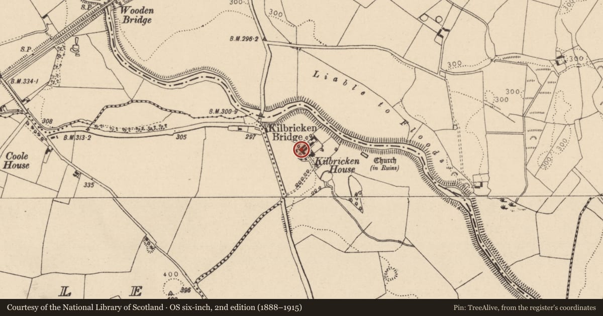 Ordnance Survey six-inch map, 2nd edition (1888–1915) covering the location of Inscribed stone (present location), Kilbrickan, County Laois, with a pin at the register's coordinates