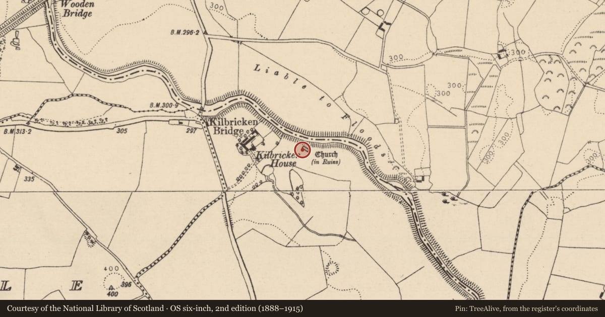 Ordnance Survey six-inch map, 2nd edition (1888–1915) covering the location of Church, Kilbrickan, County Laois, with a pin at the register's coordinates