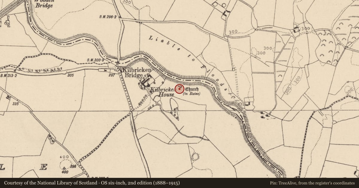 Ordnance Survey six-inch map, 2nd edition (1888–1915) covering the location of Graveyard, Kilbrickan, County Laois, with a pin at the register's coordinates